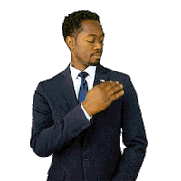 AllenLEllison florida democrat allen senate Sticker