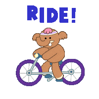 Hurry Up Bike Sticker by DINOSALLY