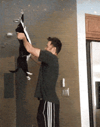 gifys GIF by The .GIFYS