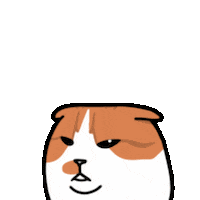 Cat Ggomo Sticker