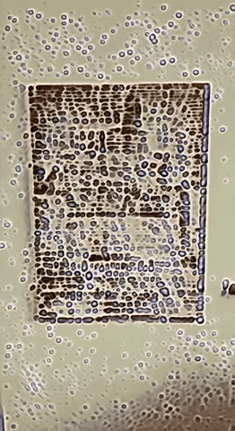 Art Augment GIF by Aleksey Efremov