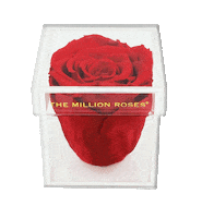 Gift Luxury Sticker by The Million Roses