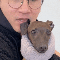 Dog Ig GIF