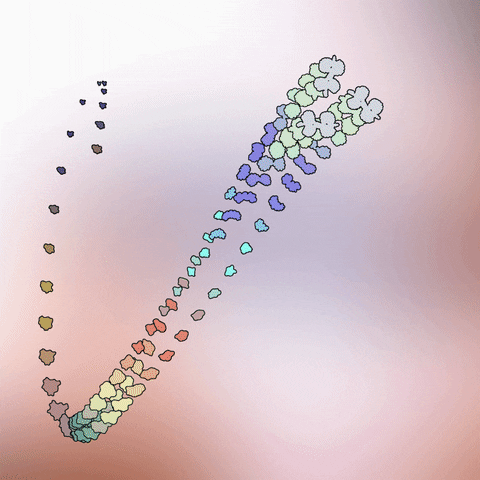 Animation Loop GIF by Jack Gray