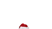 Christmas Sticker by Knockhill Racing Circuit