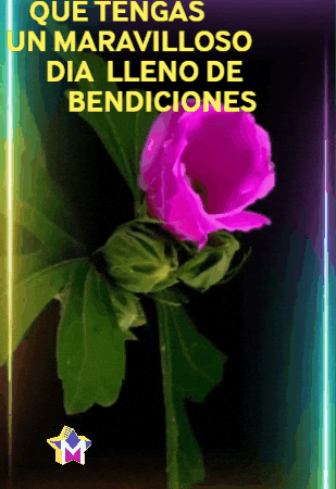 Dia Flores GIF by Murcianys LLC