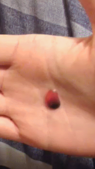 lava lamp GIF
