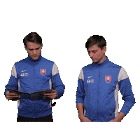 Malyfutbal Sticker by Slovenský zväz malého futbalu