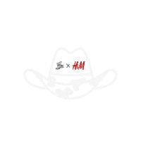 Pal Norte Festival Sticker by hm