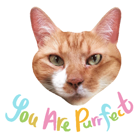 Cat Ginger Sticker