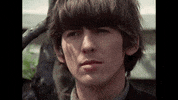 the beatles paperback writer GIF