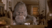 bigfoot sasquatch GIF
