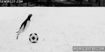 sliding GIF