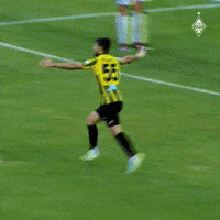 Gromyko GIF by FC Kairat