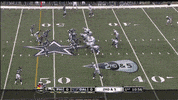 philadelphia eagles forum GIF