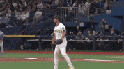 Major League Baseball Sport GIF by MLB