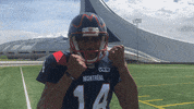 Happy Montreal Alouettes GIF by Alouettes de Montréal