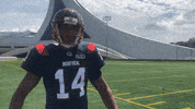Montreal Alouettes Football GIF by Alouettes de Montréal