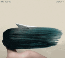 Hair Boat GIF by joelremygif