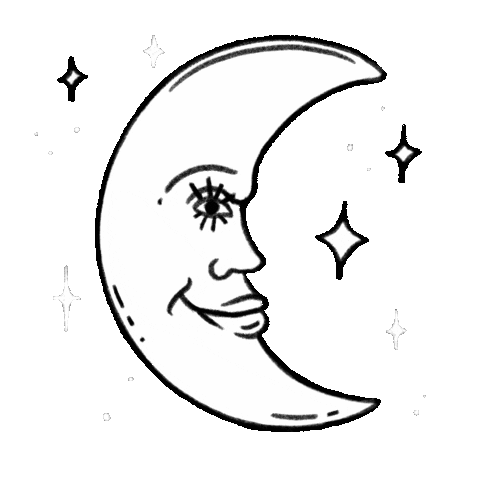 steph_fireflyatelier giphyupload black and white stars moon Sticker