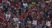 atlanta falcons GIF by NFL