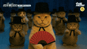 틴더스 GIF