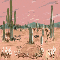 Summer Explore GIF by BrittDoesDesign