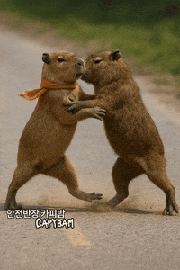 War Fighting GIF