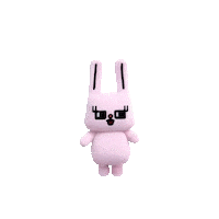 all31dakki dance jump 토끼 댄스 Sticker