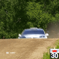 Ford Finland GIF by FIA World Rally Championship