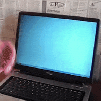 kreativsoehne funny hair internet crash GIF