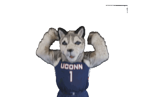 jump yes Sticker by UConn Huskies