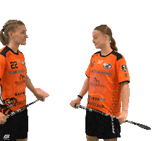 Sport Floorball Sticker by F-liiga