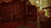 Cat GIF by Annapurna Interactive