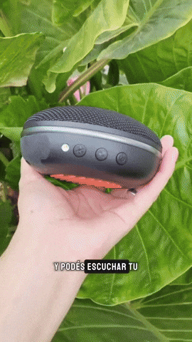 nahueldiazf1552740ac4246eabbaf132b1d6caad4 giphyupload GIF