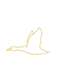 spicealley yum duck sydney yumm Sticker