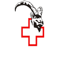 Sudtirol Solda Sticker by Corpo Nazionale Soccorso Alpino e Speleologico -Bergrettung - Mountain Rescue Ehrenamtliche Organisation