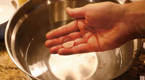 yj_jane giphygifmaker GIF