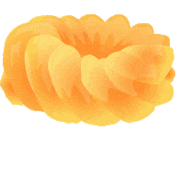 Donut Cruller Sticker by Tim Hortons UK & IE