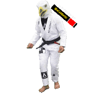 Black Belt Mexico Sticker by Academy Jiu-Jitsu