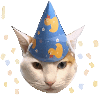 Birthday 生日 Sticker