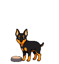 いただきます Miniature Pinscher Sticker by zidama