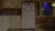 Fridge Refrigerator GIF by Meow Wolf