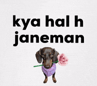 How Are You Hello GIF