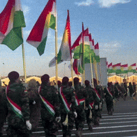 Flag Al GIF
