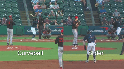 tesstass giphyupload GIF