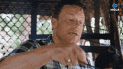 Happy Fun GIF by MolaTV