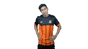 Spl Cheetahs Sticker by HGFC