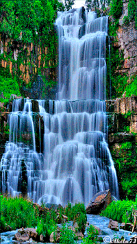 Introline giphyupload GIF