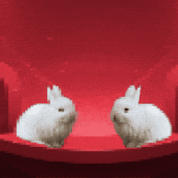 Bunnies Celery GIF